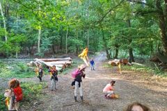IMG_20230927_102209