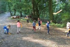 IMG_20230927_102233