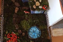 IMG_20230921_163534
