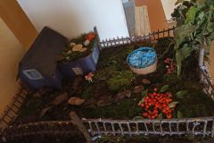 IMG_20230921_163545