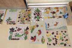 IMG-20231020-WA0012