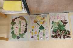 IMG-20231020-WA0013