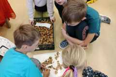 IMG-20231020-WA0014