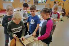 IMG-20231109-WA0020