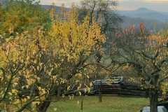 IMG-20231110-WA0001