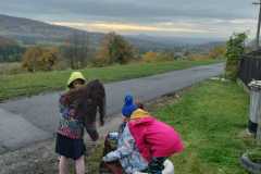 IMG-20231110-WA0002