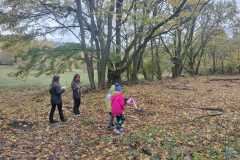 IMG-20231110-WA0007