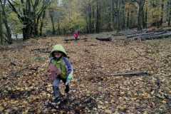 IMG-20231110-WA0008