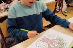IMG_20231115_135957