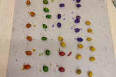IMG_20231115_140754