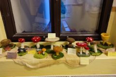 IMG_20231122_160809