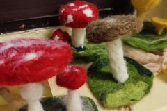 IMG_20231122_160821