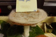 IMG_20231122_160830