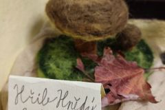 IMG_20231122_160835