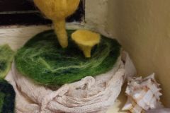 IMG_20231122_160859