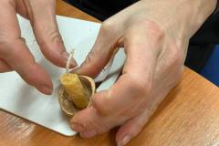 IMG_20231129_233436_443