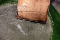 IMG_20240228_095038