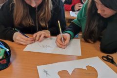 IMG_20240304_124118