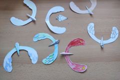 IMG_20240304_135920