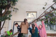 IMG_20240228_141712