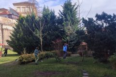 IMG_20240228_142027