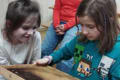 IMG-20240227-WA0009