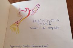 IMG_20240427_112440
