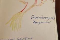 IMG_20240427_134312