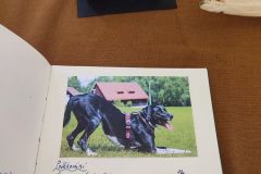 IMG_20240427_135502