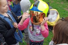 IMG_20240611_103729