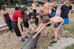 e0f533db-fbe5-459c-a74e-c69123ffe8fc