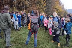 IMG_20241031_0921151