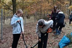 IMG_20241031_0940341