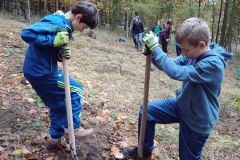 IMG_20241031_1003151