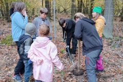 IMG_20241031_1008391