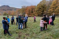 IMG_20241031_1136151