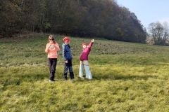 2024-11-01 Úklid lesa