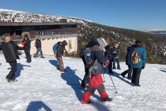 IMG_20250319_145055_1