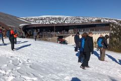 IMG_20250319_145058_1