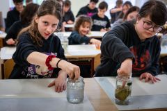 2025-05-29 Malování s Davidem Newbattem