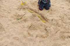 IMG_20240403_114824