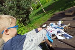 IMG_20240411_101912