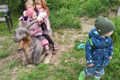 IMG_20240416_102729