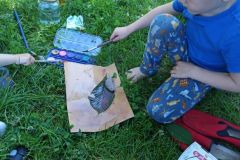 IMG_20240605_103005