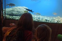 IMG_20240613_095106