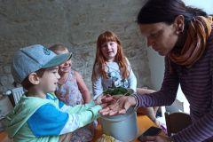 IMG_20240619_085223