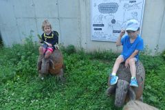 IMG_20240619_111026