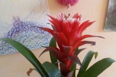 20190404_124345